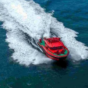 Beluga-18-2@2x_8-768x768